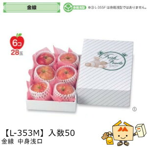 ylszt[c MtgBOX   g iL-353M P[X̔ 50 TCY220×325×105(60)mm  }jpbP[W }j  _{[ t[clߍ킹 }S[  