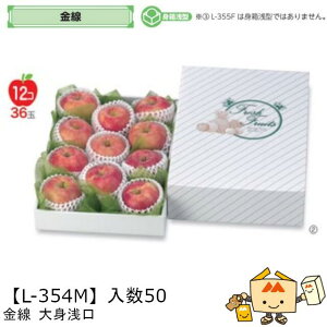 ylszt[c MtgBOX   g iL-354M P[X̔ 50 TCY270×380×105(60)mm  }jpbP[W }j  _{[ t[clߍ킹 }S[  