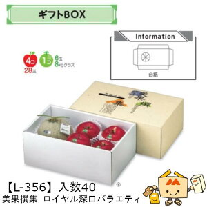 ylszt[c MtgBOX AFʐW C[oGeB iL-356 P[X̔ 40 TCY370×225×150mm  }jpbP[W }j  _{[ t[clߍ킹 