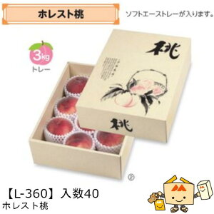 �y�l��s�z�t���[�c �����p �z���X�g�� �i��L-360 �P�[�X�̔� ����40 �T�C�Y268×364×110mm �������� ���}�j�p�b�P�[�W ���}�j �� �� �_���{�[�� �Г�02000701