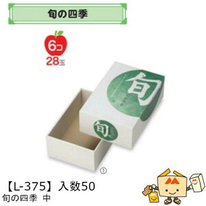 ylszt[c MtgBOX {̎lG  iL-375 P[X̔ 50 TCY205×310×115mm  }jpbP[W }j  _{[ t[clߍ킹 }S[  ь  