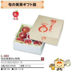 ylszt[c 񂲗p 񂲔 {̔9pp iL-383 P[X̔ 40 TCY320×320×115mm  }jpbP[W }j S ь Abv  _{[ Г0200070