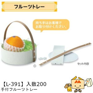 ylszt[c g[ tt[cg[ iL-391 P[X̔ 200 TCY163×46(62)mm  }jpbP[W }j     ` ݂ IW  Г02000