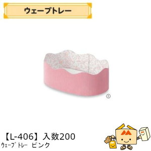 ylszt[c g[ EF[ug[ sN iL-406 P[X̔ 200 TCY205×135×60(75)mm  }jpbP[W }j  _{[    ` ݂ I