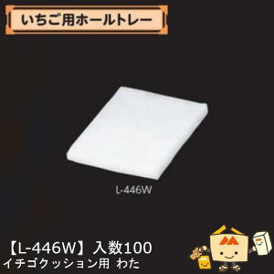 ylszt[c p pz[g[ C`SNbVp킽 iL-446W P[X̔ 100 TCY175×245mm  }jpbP[W }j Xgx[   