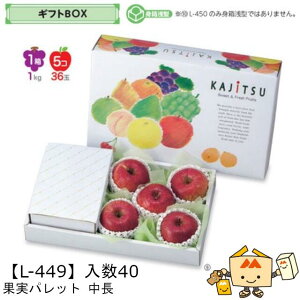 ylszt[c MtgBOX ʎpbg  iL-449 P[X̔ 40 TCY400×225×110(60)mm  }jpbP[W }j  _{[ t[clߍ킹  ь  