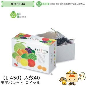ylszt[c MtgBOX ʎpbg C iL-450 P[X̔ 40 TCY325×225×150mm  }jpbP[W }j  _{[ t[clߍ킹  ь 