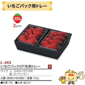 ylszt[c g[ pbNpg[ pbN2Ppg[ iL-453 P[X̔ 300 TCY240×167×56mm  }jpbP[W }j  _{[  