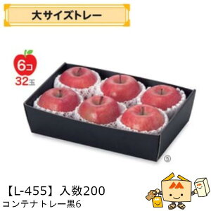 ylszt[c g[ TCY Reig[6 iL-455 P[X̔ 200 TCY305×200×75mm  }jpbP[W }j  _{[    ` ݂ I