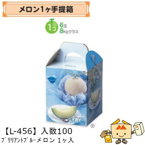 ylszt[c p uAgu[1 iL-407 P[X̔ 100 TCY150×150×200mm  }jpbP[W }j  _{[ Г02000701