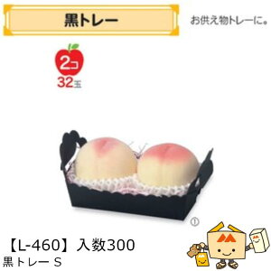 ylszt[c g[ g[S iL-460 P[X̔ 300 TCY192×110×50(100)mm  }jpbP[W }j  _{[  ь    ` ݂ IW 