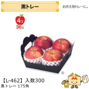 ylszt[c g[ g[175p iL-462 P[X̔ 300 TCY175×175×50(100)mm  }jpbP[W }j  _{[  ь    ` ݂ I