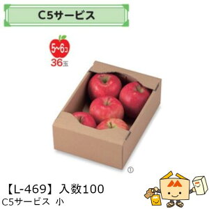 ylszt[c T[rXBOX Rei C5T[rX  iL-469 P[X̔ 100 TCY175×250×85mm  }jpbP[W }j  _{[ }S[ IW `   