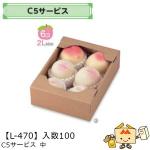 ylszt[c T[rXBOX Rei C5T[rX  iL-470 P[X̔ 100 TCY215×290×85mm  }jpbP[W }j  _{[ }S[ IW `   