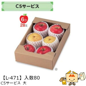 ylszt[c T[rXBOX Rei C5T[rX  iL-471 P[X̔ 80 TCY250×370×85mm  }jpbP[W }j  _{[ }S[ IW `   