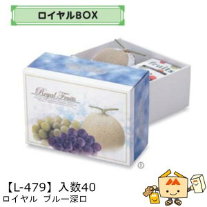 ylszt[c MtgBOX C u[[ iL-479 P[X̔ 40 TCY325×225×150mm  }jpbP[W }j  _{[  XCJ Ԃǂ  }XJb