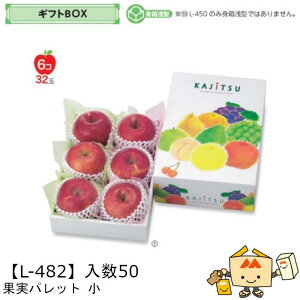 ylszt[c MtgBOX ʎpbg  iL-482 P[X̔ 50 TCY200×295×95(60)mm  }jpbP[W }j  _{[ t[clߍ킹  ь  