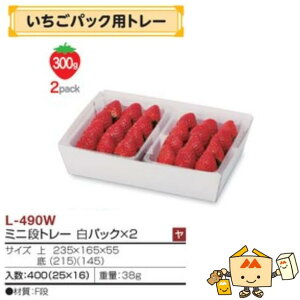 ylszt[c g[ pbNpg[ ~jig[pbN×2 iL-490W P[X̔ 400 TCY235×165×55mm  }jpbP[W }j  _{[  