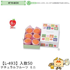 ylszt[c MtgBOX i`t[c ~j iL-493 P[X̔ 50 TCY180×270×105(60)mm  }jpbP[W }j  _{[ t[clߍ킹  