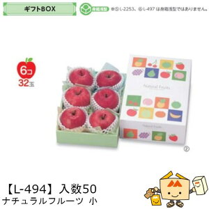 ylszt[c MtgBOX i`t[c  iL-494 P[X̔ 50 TCY200×295×105(60)mm  }jpbP[W }j  _{[ t[clߍ킹  