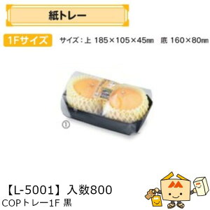 ylszt[c g[ COPg[1F iL-5001 P[X̔ 800 TCY185×105×45mm  }jpbP[W }j  _{[    ` ݂ IW  