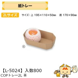 ylszt[c g[ COPg[2L iL-5024 P[X̔ 800 TCY195×110×50mm  }jpbP[W }j  _{[    ` ݂ IW  