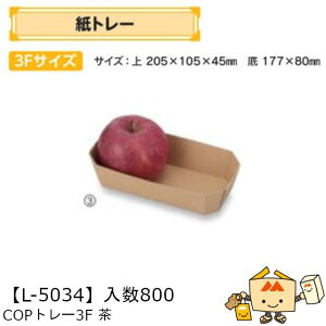 ylszt[c g[ COPg[3F iL-5034 P[X̔ 800 TCY205×105×45mm  }jpbP[W }j  _{[    ` ݂ IW  