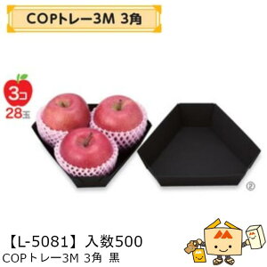 ylszt[c g[ COPg[3M 3p  iL-5081 P[X̔ 500 TCY230×200×50mm  }jpbP[W }j  _{[    ` ݂ IW 