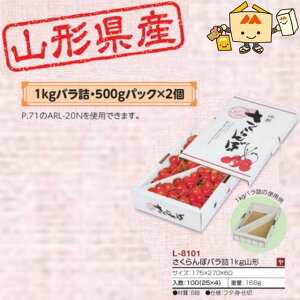 ylszt[c R`Yڗp ڃol1kgR` iL-8101 P[X̔ 100 TCY175×270×60mm  }jpbP[W }j  _{[ `F[ Г0200070