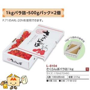 ylszt[c ڗp ڃol1kg iL-8104 P[X̔ 100 TCY172×270×60mm  }jpbP[W }j  _{[ `F[ Г02000701