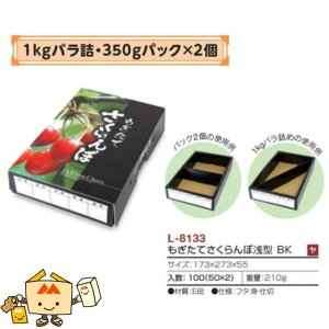 ylszt[c ڗp Ăڐ^BK iL-8133 P[X̔ 100 TCY173×273×55mm  }jpbP[W }j  _{[ `F[ Г02000701