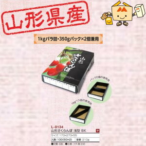 ylszt[c R`Yڗp R`ڐ^BK iL-8134 P[X̔ 100 TCY173×273×55mm  }jpbP[W }j  _{[ `F[ Г02000701