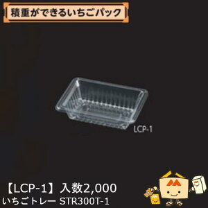 ylszt[c p g[ STR300T-1 iLCP-1 P[X̔ 2000 TCY164×114×41mm  }jpbP[W }j Xgx[   ܂ ƂƂ 