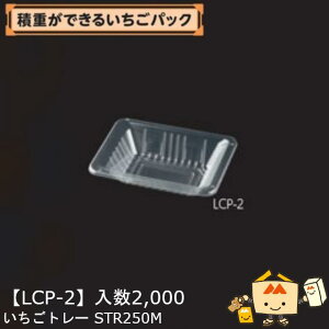 ylszt[c p g[ STR250M iLCP-2 P[X̔ 2000 TCY164×114×37mm  }jpbP[W }j Xgx[   ܂ ƂƂ 