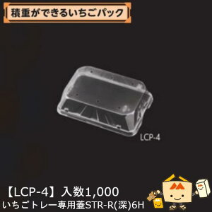 ylszt[c p g[ pWSTR-R([)6H iLCP-4 P[X̔ 1000 TCY166×116×42mm  }jpbP[W }j Xgx[   ܂ Ƃ