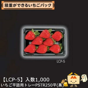 ylszt[c p lpg[PSTR250() iLCP-5 P[X̔ 1000 TCY198×133×25mm  }jpbP[W }j Xgx[   ܂ Ƃ