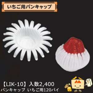 ylszt[c p pLbv p120pC iLIK-10 P[X̔ 2400 TCY120  }jpbP[W }j Xgx[   ܂ Ƃ