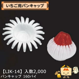 ylszt[c p pLbv 160pC iLIK-14 P[X̔ 2000 TCY160  }jpbP[W }j Xgx[   ܂ ƂƂ 