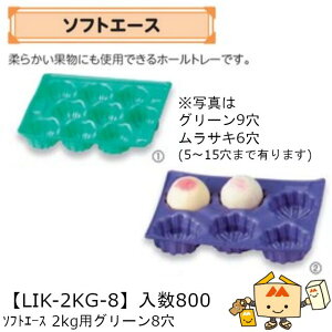 ylszt[c p z[g[ \tgG[X2kgpO[8H iLIK-2KG-8 P[X̔ 800 TCY226×295mm  }jpbP[W }j  Г010