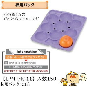 �y�l��s�z�t���[�c �����p �`�p�p�b�N 11H(��) �i��LPM-3K-11 �P�[�X�̔� ����150 �T�C�Y306×385mm �������� ���}�j�p�b�P�[�W ���}�j �` �� �Î� �V�� �_���{�[�� �Г�02000701