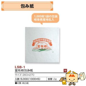 ylszt[c p xL`ݎ iLSB-1 P[X̔ 5000 TCY260×270mm  }jpbP[W }j `  Г02000701