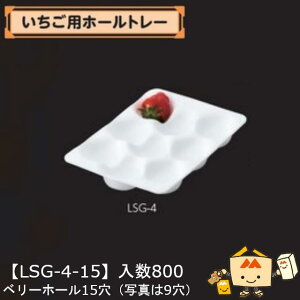 ylszt[c p pz[g[ x[z[15 iLSG-4-15 P[X̔ 800 TCY160×232mm  }jpbP[W }j Xgx[   ܂