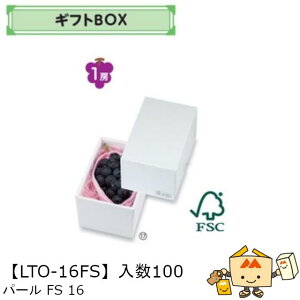 ylszt[c MtgBOX p[FS16 iLTO-16FS P[X̔ 100 TCY130×200×120mm  }jpbP[W }j  _{[ S ь  IW  Ԃǂ }XJb