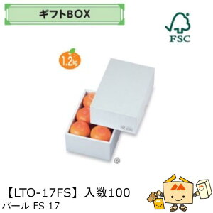 ylszt[c MtgBOX p[FS17 iLTO-17FS P[X̔ 100 TCY140×195×85mm  }jpbP[W }j  _{[ S ь  IW  Ԃǂ }XJb