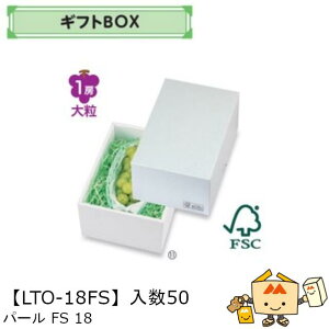 ylszt[c MtgBOX p[FS18 iLTO-18FS P[X̔ 50 TCY170×240×110mm  }jpbP[W }j  _{[ S ь  IW  Ԃǂ }XJb