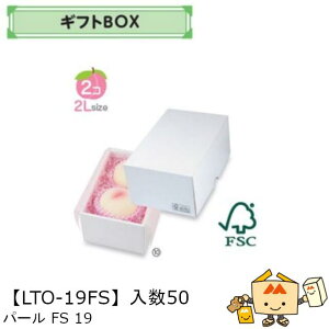 ylszt[c MtgBOX p[FS19 iLTO-19FS P[X̔ 50 TCY145×215×110mm  }jpbP[W }j  _{[ S ь  IW  Ԃǂ }XJb