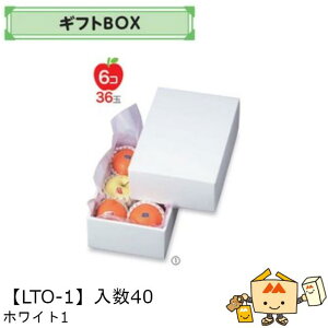 ylszt[c MtgBOX zCg1 iLTO-1 P[X̔ 40 TCY190×275×110mm  }jpbP[W }j  _{[ t[clߍ킹  ь  IW 