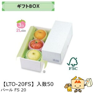 ylszt[c MtgBOX p[FS20 iLTO-20FS P[X̔ 50 TCY125×300×105mm  }jpbP[W }j  _{[ S ь  IW  Ԃǂ }XJb