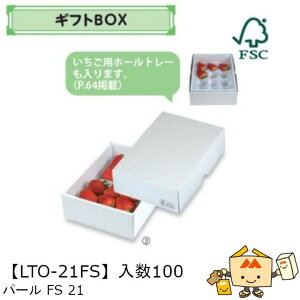 ylszt[c MtgBOX p[FS21 iLTO-21FS P[X̔ 100 TCY170×240×70mm  }jpbP[W }j  _{[ S ь  IW  Ԃǂ }XJb