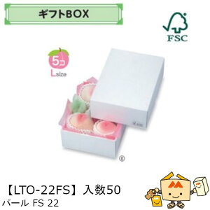 ylszt[c MtgBOX p[FS22 iLTO-22FS P[X̔ 50 TCY200×260×95mm  }jpbP[W }j  _{[ S ь  IW  Ԃǂ }XJbg